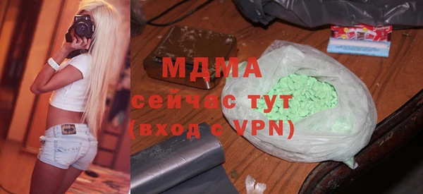 индика Бронницы