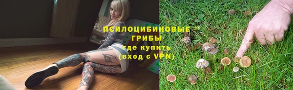 гидра Покров