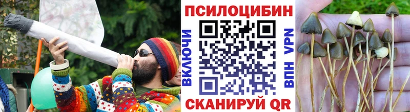 Псилоцибиновые грибы GOLDEN TEACHER Североуральск